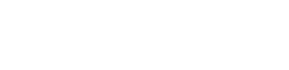 APS — Associação Portuguesa de Seguradores